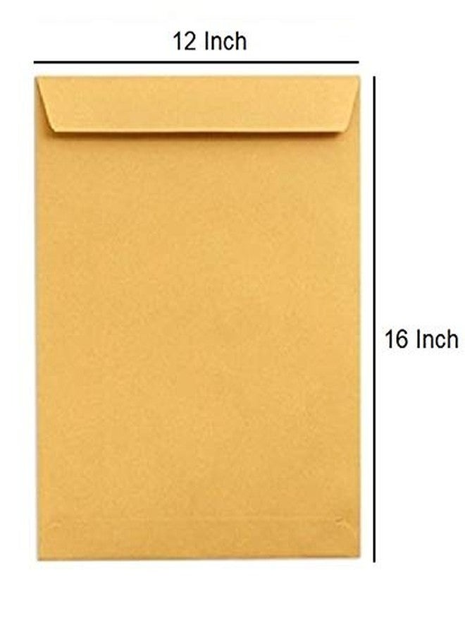 True-Ally Laminated Yellow Paper Large Size Envelope Ideal For Home Office Secure Mailing | Poly Laminated inside | 12 x16 inch (Pack of 20) - Image 2