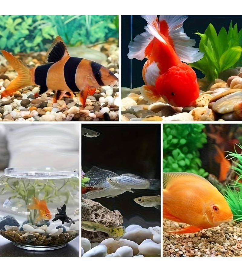 Mixed Color Natural River Stones 200g for Aquariums Garden Potted Decor - Image 3