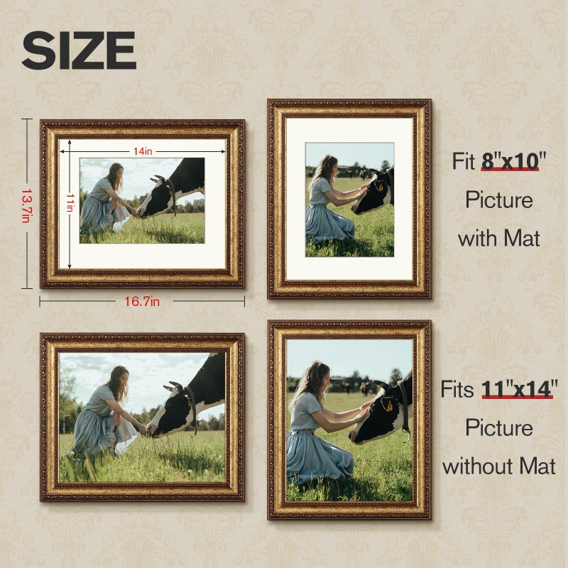 Splinterix 11x14 Gold Picture Frame, 2 Pack Ornate Vintage Picture Frames for Wall or Tabletop Display, 11 x 14 Photo Frame Gold with Real Glass, Display Poster 8x10 with Mat or 11x14 without Mat for Antique DÃ©co - Image 2