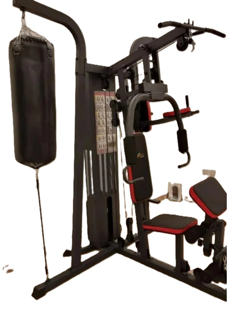 bunca D03-01 Home Gym: Over 40 Exercises, A Complete Gym in Your Home, Bench, and Exercise Chair - Image 4