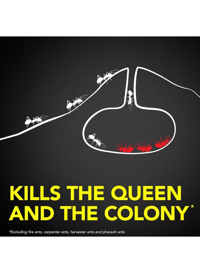 RAID طُعوم قاتلة للنمل، للاستخدام المنزلي، تقتل المستعمرة، تقتل النمل لمدة 3 أشهر، مقاومة للأطفال، 4 قطع - Image 3