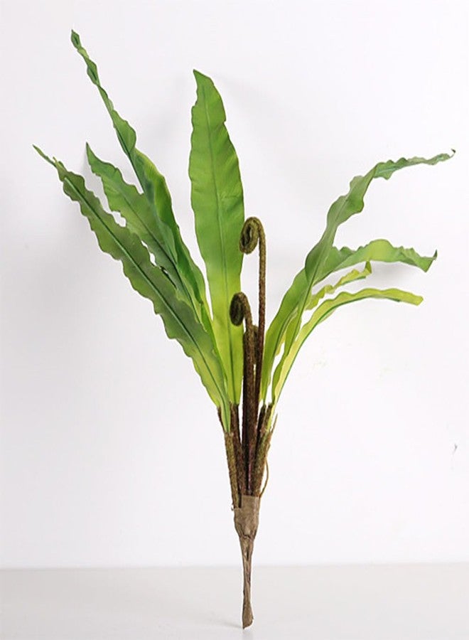 QFSH 2Pcs Artificial Fern Green Plant Bird's-nest Fern Asplenium Nidus Faux Silk Tropical Plants for Outdoor Wall Decor, 17 inches - Image 5