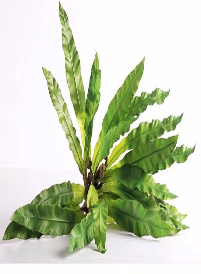 QFSH 2Pcs Artificial Fern Green Plant Bird's-nest Fern Asplenium Nidus Faux Silk Tropical Plants for Outdoor Wall Decor, 17 inches - Image 3