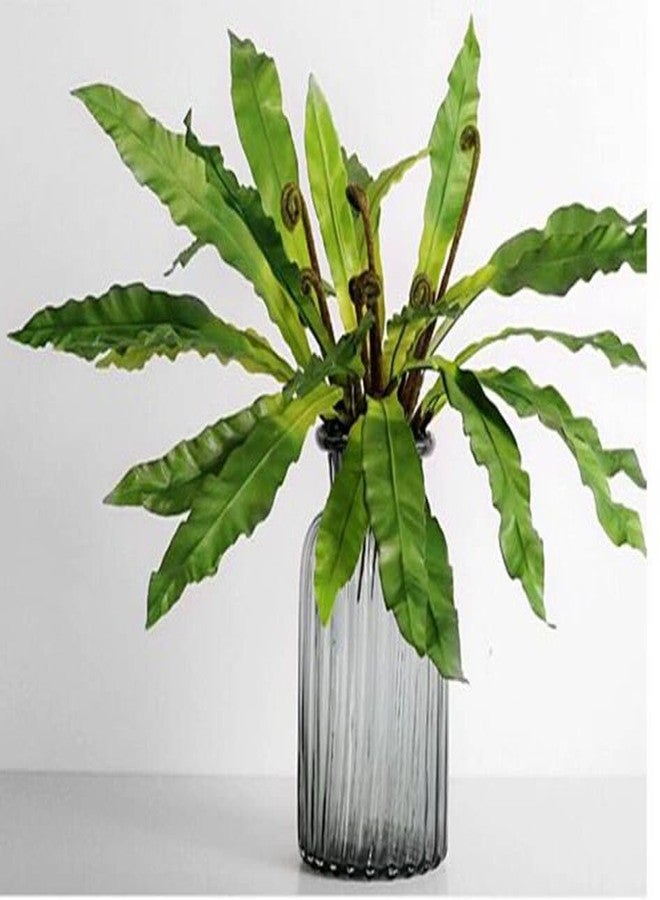 QFSH 2Pcs Artificial Fern Green Plant Bird's-nest Fern Asplenium Nidus Faux Silk Tropical Plants for Outdoor Wall Decor, 17 inches - Image 2