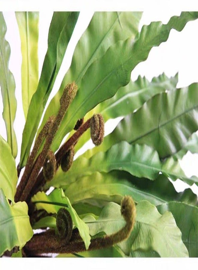QFSH 2Pcs Artificial Fern Green Plant Bird's-nest Fern Asplenium Nidus Faux Silk Tropical Plants for Outdoor Wall Decor, 17 inches - Image 4