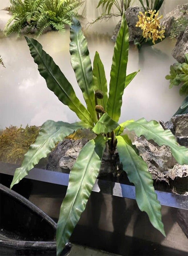 QFSH 2Pcs Artificial Fern Green Plant Bird's-nest Fern Asplenium Nidus Faux Silk Tropical Plants for Outdoor Wall Decor, 17 inches - Image 1