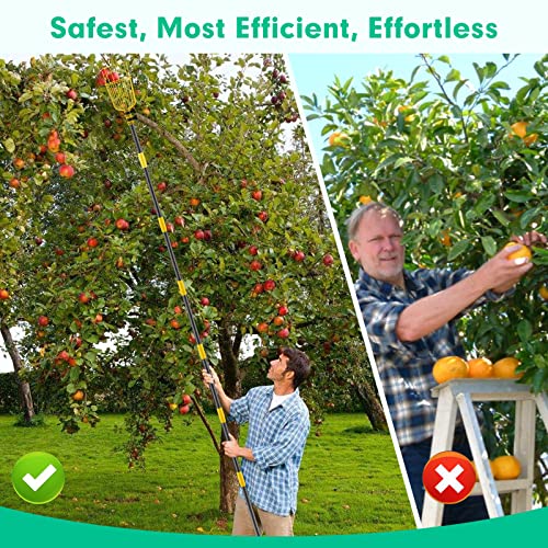 Lilyvane Fruit Picker Pole with Basket,8FT Long Heavy Duty Mango Picker Tool with Adjustable Fruits Picking Pole, Fruits Picking Grabber for Lemon,Apple,Almonds,Avocados - Image 5