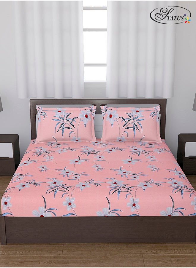 Status Contract Cotton Rich Double Bedsheet with 2 Pillow Covers for Bed Room, Home, Hotel-120 GSM, Pink, 210 X 215 Cm  - Image 1