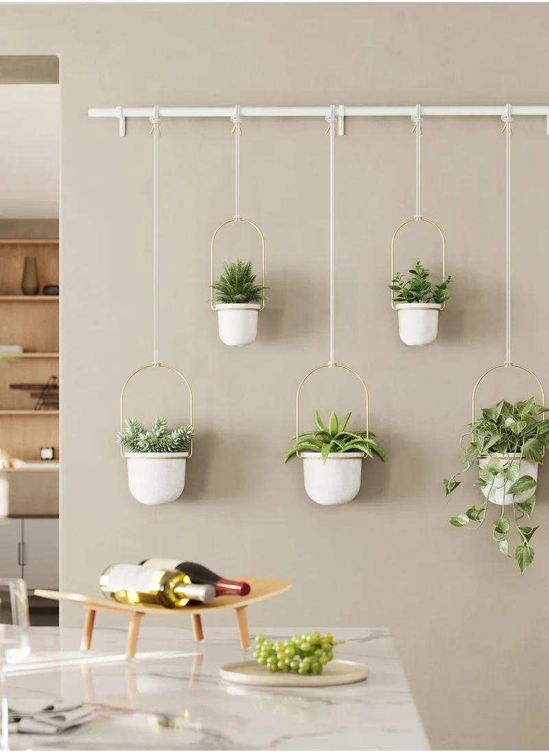 UMBRA Set Of 5 Triflora Hanging Planter