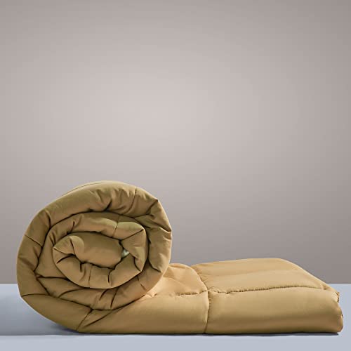 SleepyCat Luxurious All Season Reversible Comforter - Hotel Like Feel with Down Alternative Lightweight Microfiber Fill, Single Size 90X60 Inches (200 GSM, Coffee & Cream),200 TC - Image 1