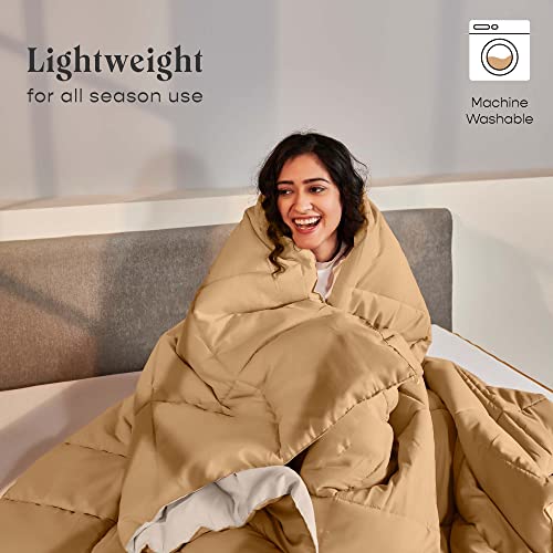 SleepyCat Luxurious All Season Reversible Comforter - Hotel Like Feel with Down Alternative Lightweight Microfiber Fill, Single Size 90X60 Inches (200 GSM, Coffee & Cream),200 TC - Image 3