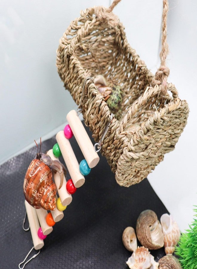 Neeenn Hermit Crab Hideout with Ladder, Wooden Hermit Crab Climbing Toys, Aquariums Ladder Bridge Ramp Toy, Small Animals Tank or Cage Accessories, Habitat for Hermit Crab Hamsters Rats Birds Parrots - Image 2