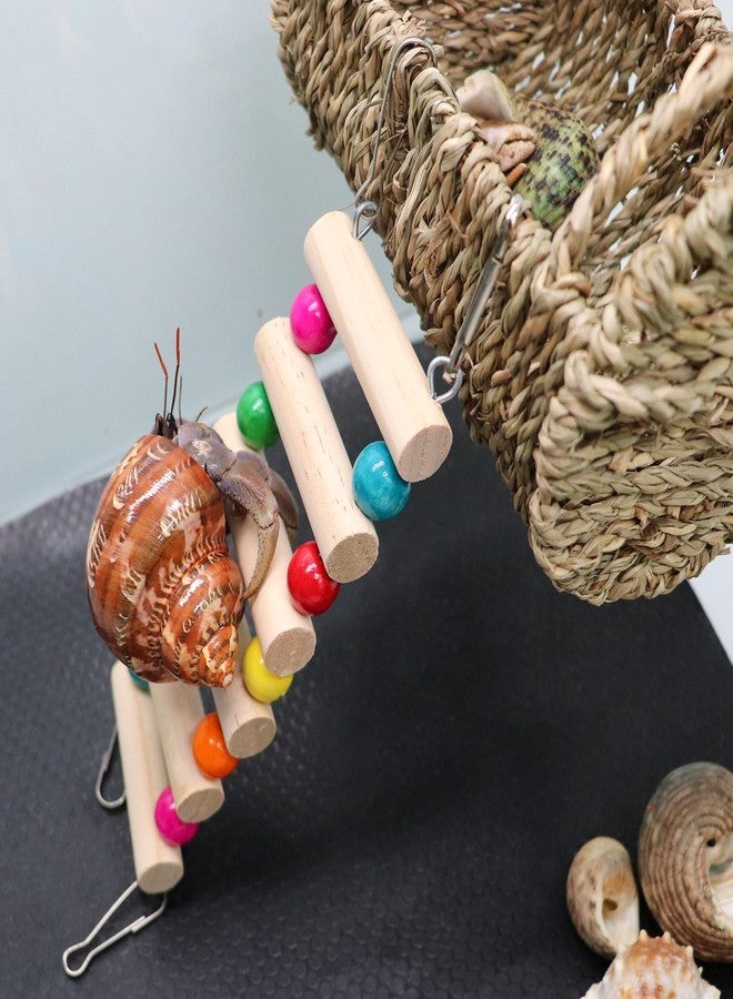 Neeenn Hermit Crab Hideout with Ladder, Wooden Hermit Crab Climbing Toys, Aquariums Ladder Bridge Ramp Toy, Small Animals Tank or Cage Accessories, Habitat for Hermit Crab Hamsters Rats Birds Parrots - Image 3