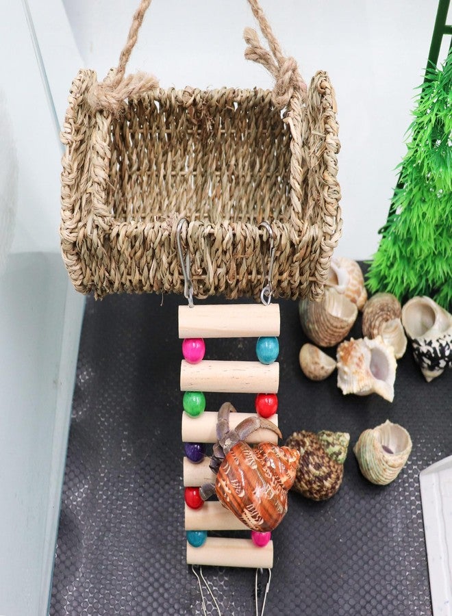 Neeenn Hermit Crab Hideout with Ladder, Wooden Hermit Crab Climbing Toys, Aquariums Ladder Bridge Ramp Toy, Small Animals Tank or Cage Accessories, Habitat for Hermit Crab Hamsters Rats Birds Parrots - Image 5