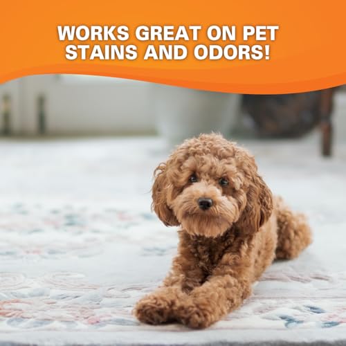 Krud Kutter CR012 Instant Carpet Cleaner/Stain Remover Plus Deodorizer, Gallon - Image 4