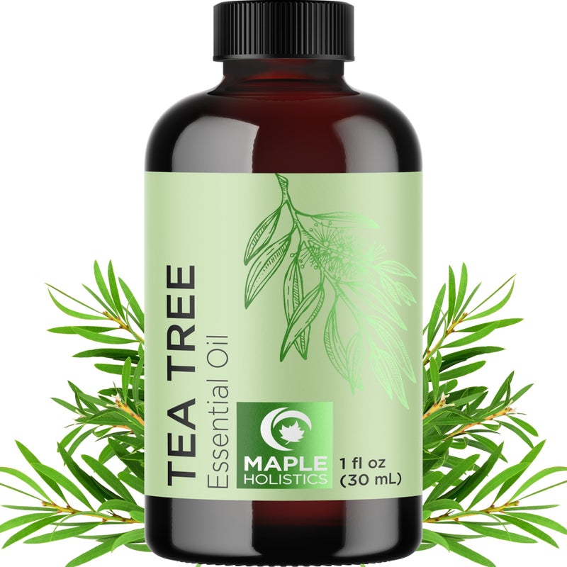 Maple Holistics Pure Tea Tree Oil for Hair Skin and Nails - 100% Pure Undiluted Tea Tree Essential Oil with Dropper for Topical Uses Aromatherapy Diffusing and Home and Beauty DIYs - Vegan and Cruelty Free (1 Fl Oz) - Image 1