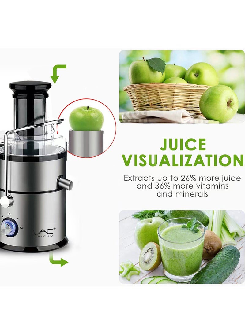 LAC LAICHY 4-in-1 Juicer & Blender - Electric Blender, Juicer, Chopper & Grinder 2-Speed Pulse Function, Powerful Versatile & Compact with Stainless Steel Body & Mesh Strainer | Motor Overheat Protection  - Image 3