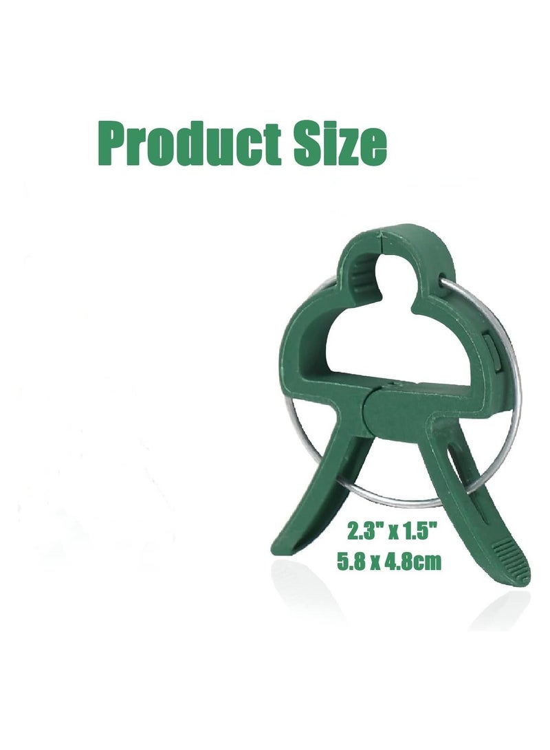 آنا الأبحاث المتعلقة ب 20 قطعة حديقة السلامة النباتية حامل - Image 5