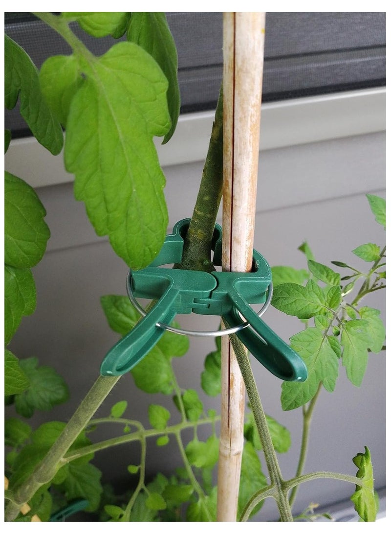 آنا الأبحاث المتعلقة ب 20 قطعة حديقة السلامة النباتية حامل - Image 2