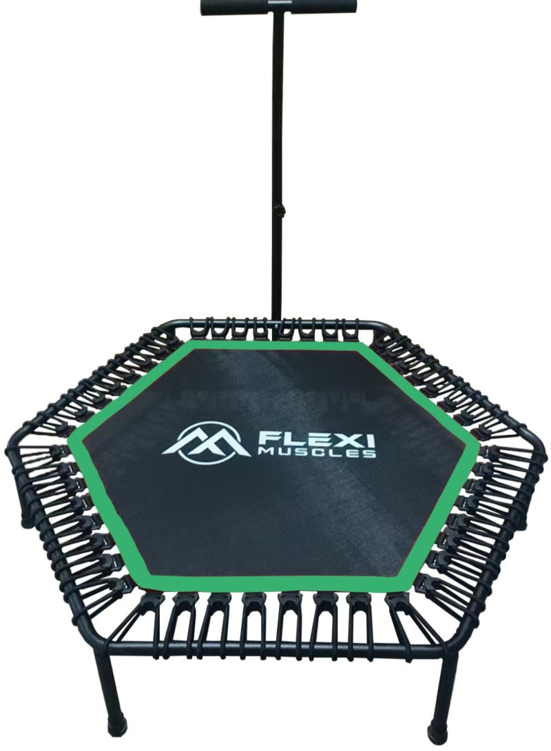 العضلات المرنة فليكسي ماسلز – ترامبولين لياقة صغير مقاس 48 بوصة للبالغين مع حبال بنجي وبار أمان، يتحمل حتى 120 كجم، مثالي للتمارين داخل المنزل وخارجه. - Image 1