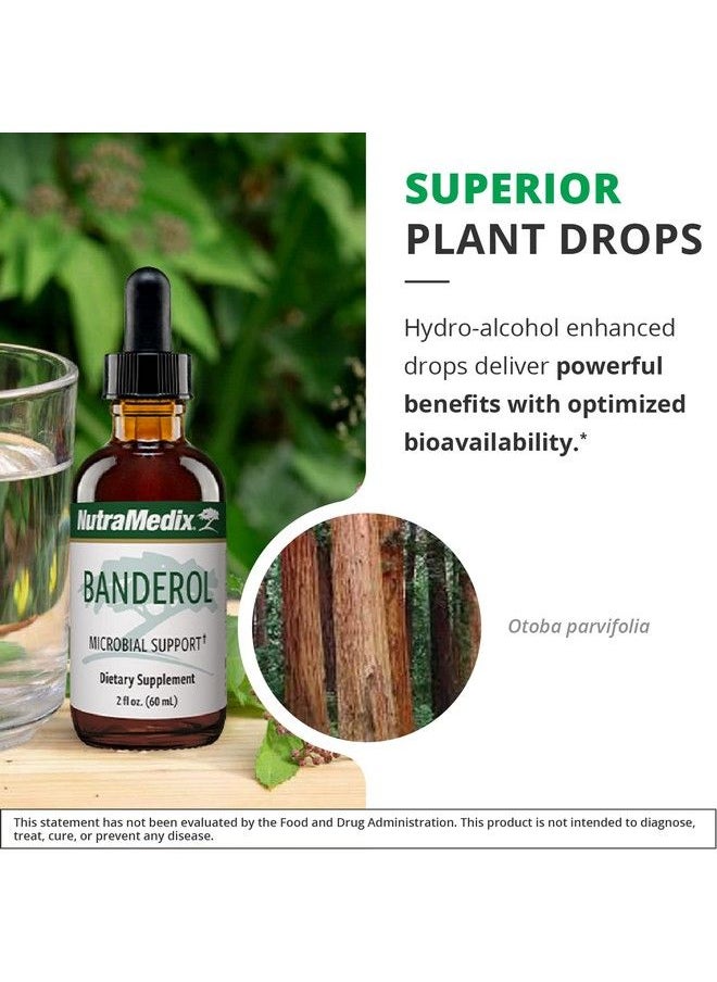Nutramedix - Banderol Herbal Tincture Microbial & Inflammatory Response Support Supplement Vegan Supplement For Daily Health Bioavailable Otoba Bark Extract Liquid Drops (2 Oz/ 60 Ml) - Image 1
