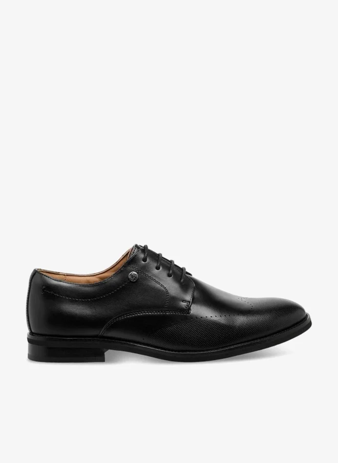 DUCHINI Men Lace-Up Derby Shoes