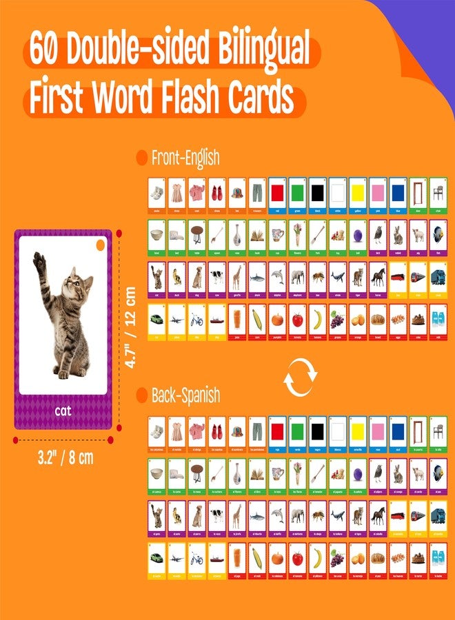 SpriteGru 60 English Spanish Flash Cards, Double-Sided Nouns Cards Bilingual Sight Words - Animals, Colors, Food, Vehicles Cards, Language Vocabulary Learning Tool for Beginners 5+ with 2 Reclosable Rings - Image 2