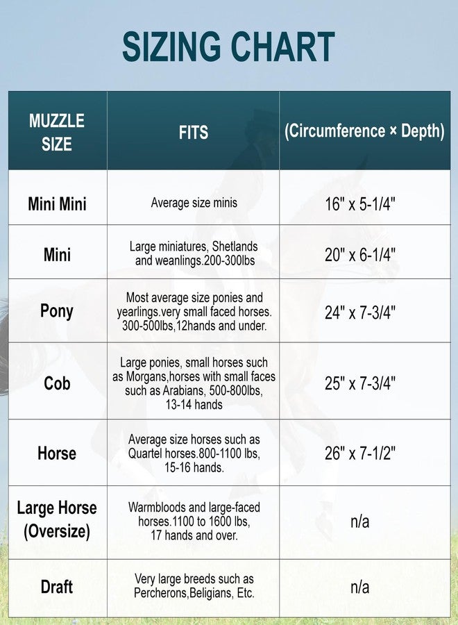 IKILEOGY Durable Ventilated Grazing Muzzle with Attached Breakaway Halter - Lightweight Horse Muzzle, Supports Natural Grazing, Restricts Food Intake, Padded Noseband, Large - Image 2