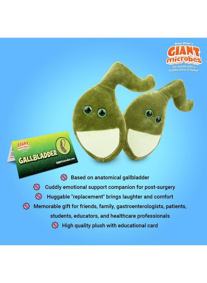 Giant Microbes GIANTmicrobes Gallbladder Plush, Biology Stuffed Animal, Gallbladder Surgery Recovery Gifts, Gastroenterology Gifts, Get Well Gift, After Surgery Must Haves - Image 3