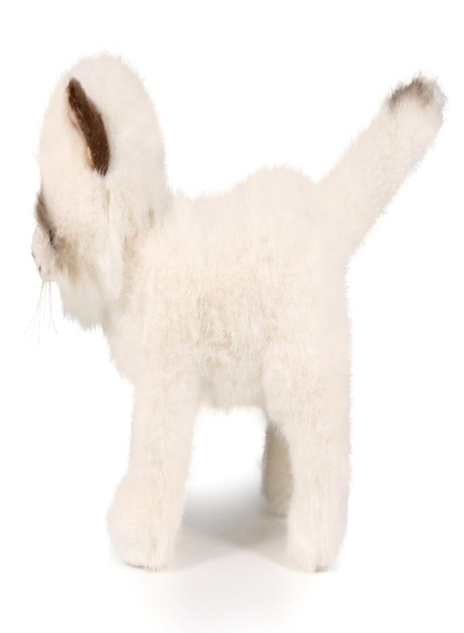 Ice King Bear دب ملك الجليد دمية قطة راجدول الصغيرة (واقفة) - Image 4