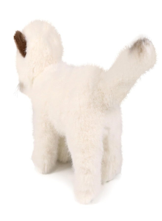 Ice King Bear دب ملك الجليد دمية قطة راجدول الصغيرة (واقفة) - Image 5