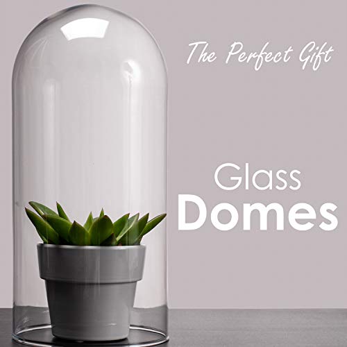 CYS EXCEL Glass Dome Cloche (H:13.75" D:5.75") | Multiple Sizes Decorative Showcase Display for Antique Collectibles | Bell Jar Terrarium & Dessert Cover - Image 3