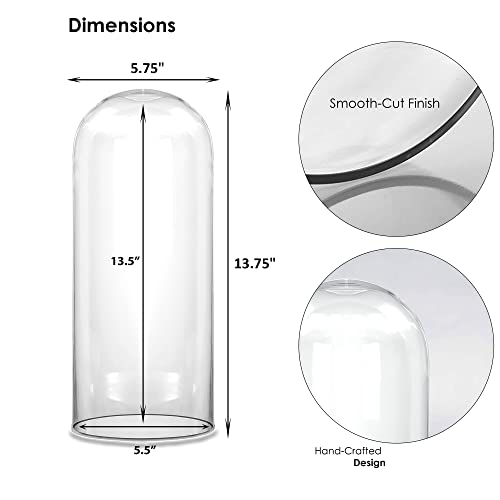 CYS EXCEL Glass Dome Cloche (H:13.75" D:5.75") | Multiple Sizes Decorative Showcase Display for Antique Collectibles | Bell Jar Terrarium & Dessert Cover - Image 2