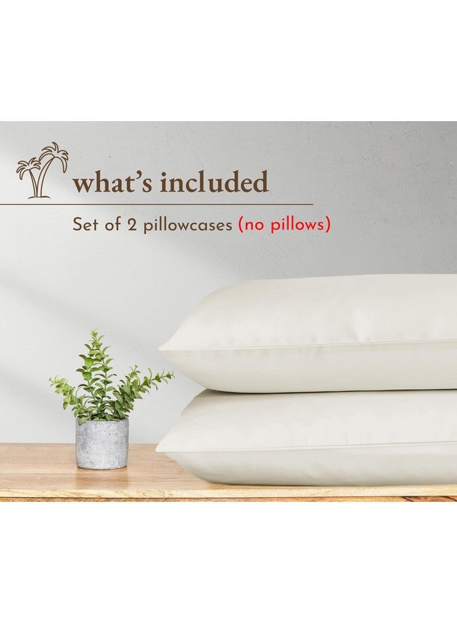 California Design Den California Design Den 100% Organic Cotton Standard/Queen Pillow Cases 2, Soft Percale Weave Cotton Cooling Pillowcases (Creamy Ivory) - Image 4