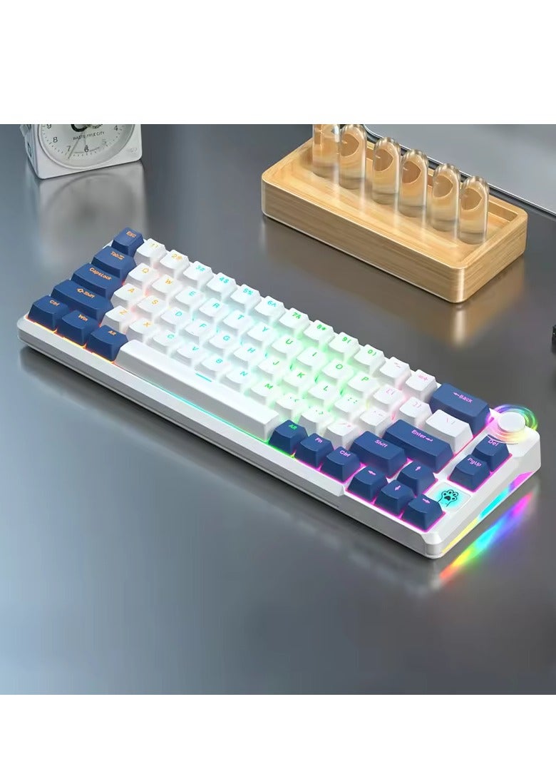 Mechanical Gaming Keyboard, 68 Key, Red/Blue Switch, RGB Lights, Arabic, Wired USB Type C, waterproof, Anti-Dust, Royal Blue, Blue Switch - Image 1