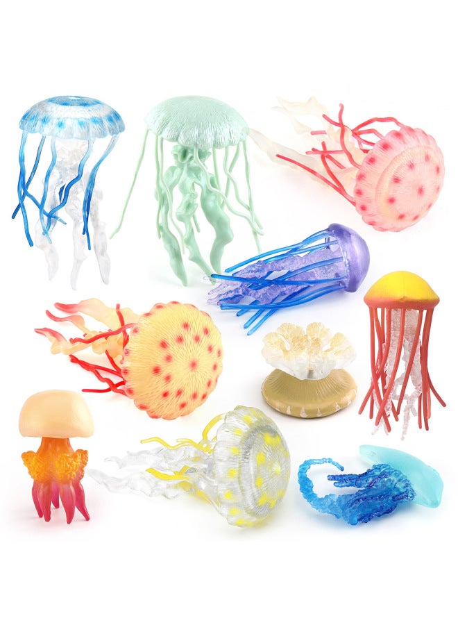 Children's Simulation Marine Seabed Biology Jellyfish Jellyfish Animal Model Static Hand-made Decorative Ornaments Toy-Color:T15906 Monk Cap Jellyfish 10g  - Image 2