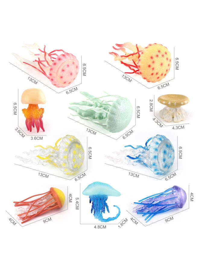Children's Simulation Marine Seabed Biology Jellyfish Jellyfish Animal Model Static Hand-made Decorative Ornaments Toy-Color:T15906 Monk Cap Jellyfish 10g  - Image 5