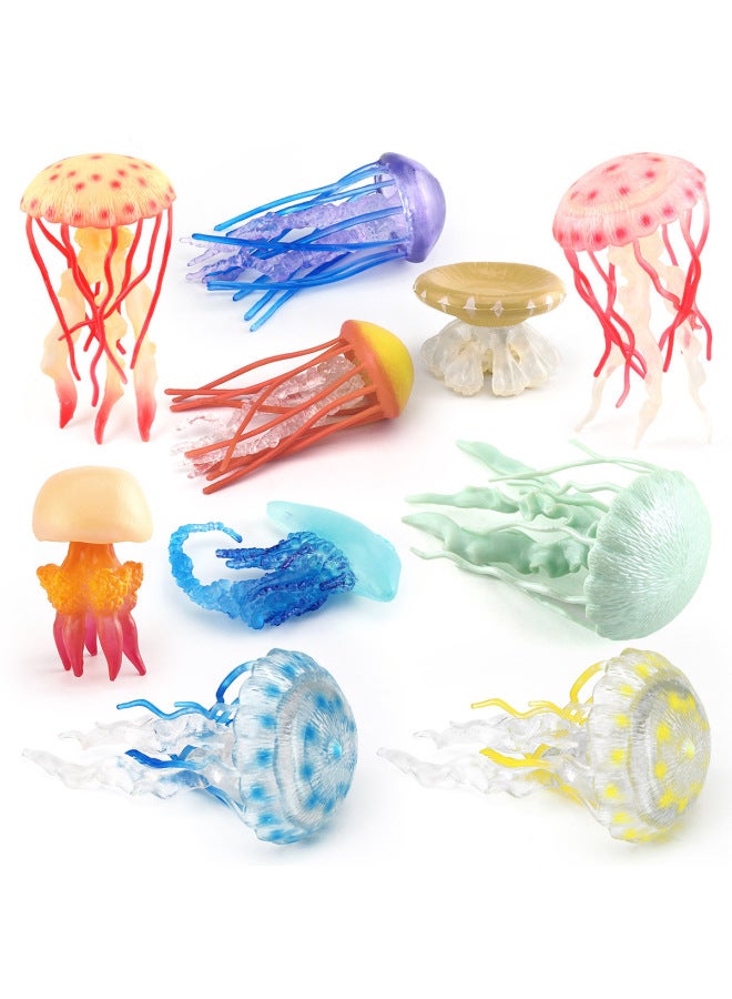 Children's Simulation Marine Seabed Biology Jellyfish Jellyfish Animal Model Static Hand-made Decorative Ornaments Toy-Color:T15906 Monk Cap Jellyfish 10g  - Image 4