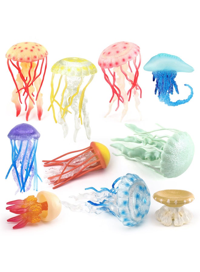 Children's Simulation Marine Seabed Biology Jellyfish Jellyfish Animal Model Static Hand-made Decorative Ornaments Toy-Color:T15906 Monk Cap Jellyfish 10g  - Image 3