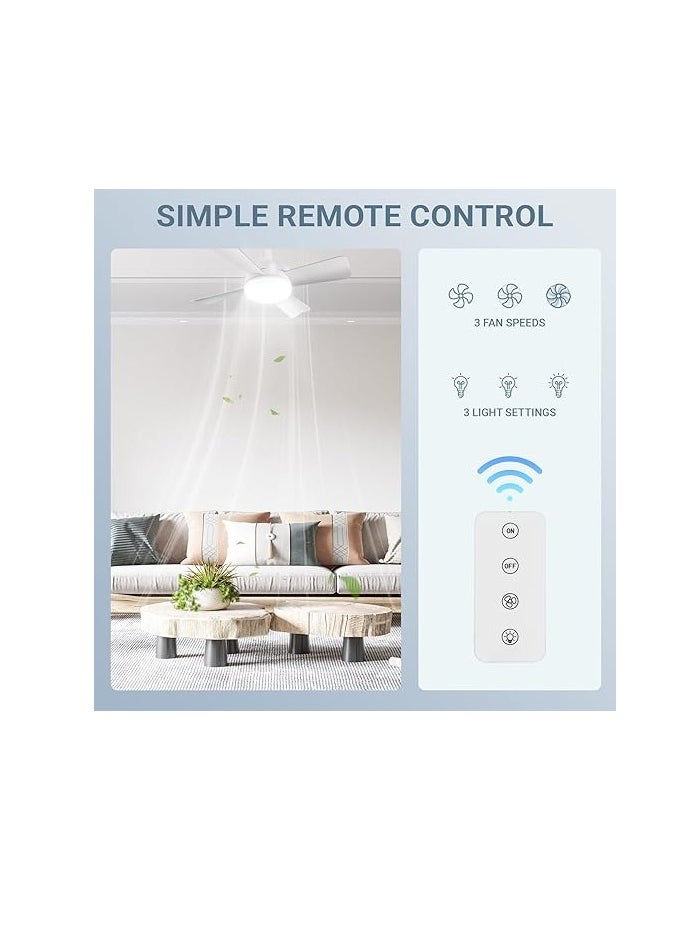 SUN SHINE Ceiling Fans with Lights and Remote  - Image 3