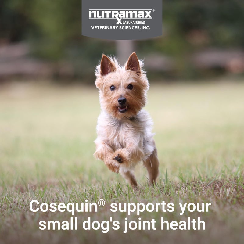 Nutramax Laboratories Cosequin Minis Soft Chews Maximum Strength with MSM Plus Omega3, 45 Count - Image 3