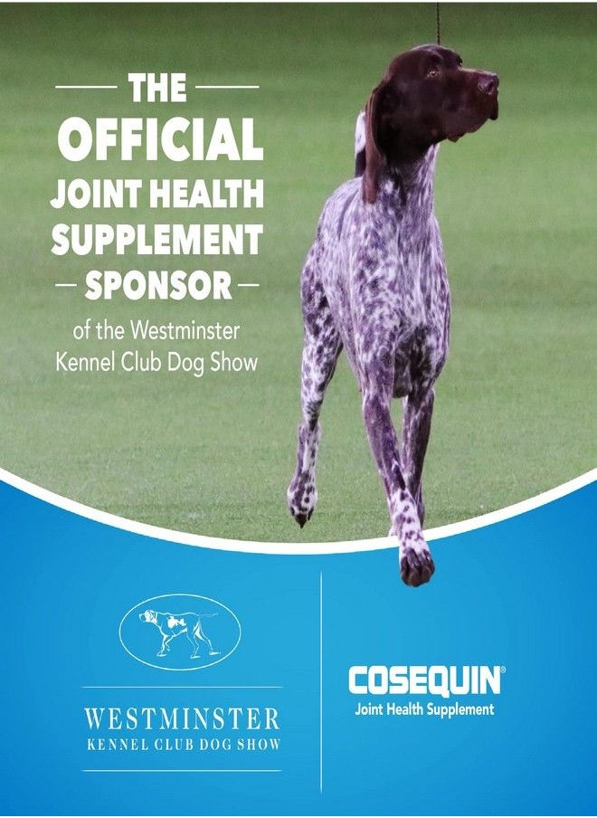Nutramax Laboratories - Nutramax Cosequin Minis Maximum Strength Joint Health Supplement for Small Dogs - With Glucosamine, Chondroitin, MSM, and Omega-3, 45 Soft Chews - Image 1