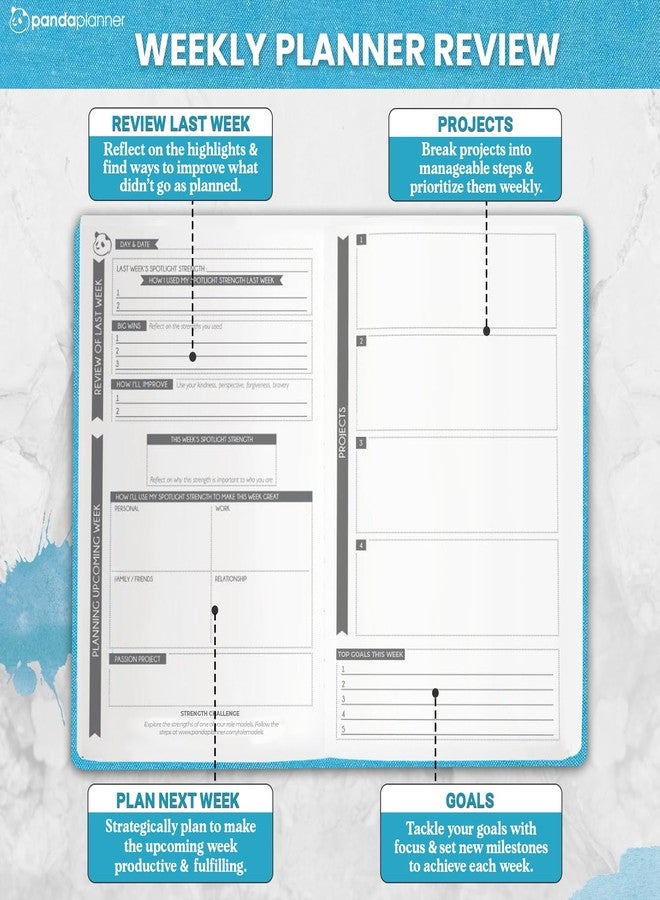 Panda Planner 2026 Undated Daily Planner 90 Day Planner - 3-Month Goal Setting & Productivity Journal - VIA Strength-Based Happiness & Organization Planner - Weekly & Monthly Agenda - 5.75" x 8.25" Hardcover Light Blue - Image 3