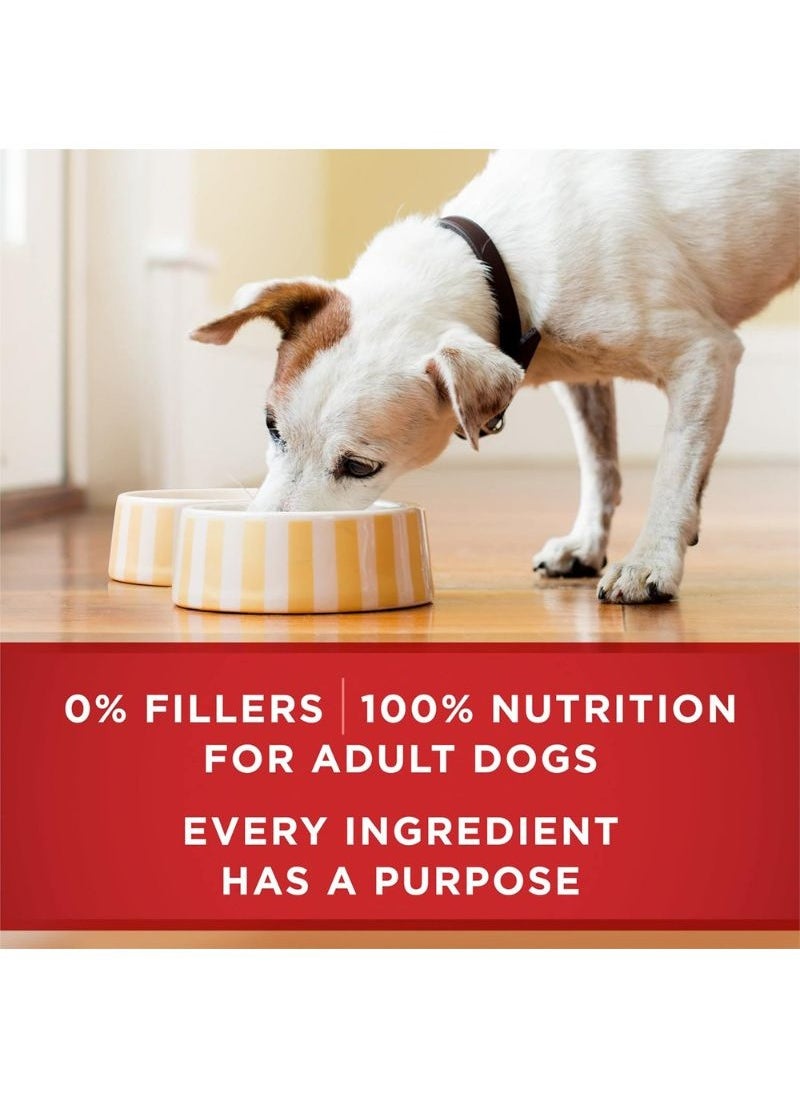 Purina ONE - Classic Ground Beef And Brown Rice  Wet Dog Food 368g - Image 1