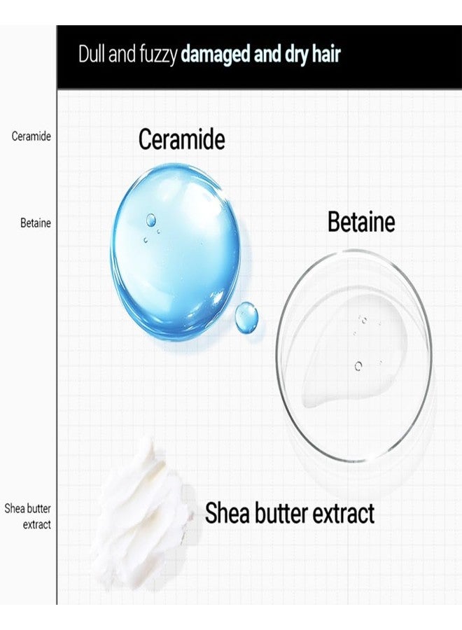 Kerasys كيراسيس بوند كيراتين المتقدم رطوبة حريرية 20.2 أونصة سائلة / 600 مل (عبوة واحدة، علاج) - Image 4