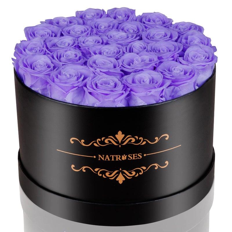 NATROSES 27 Piece Forever Preserved Roses in a Box Preserved Flowers for Delivery Birthday Flowers Gifts for Mothers Day Violet