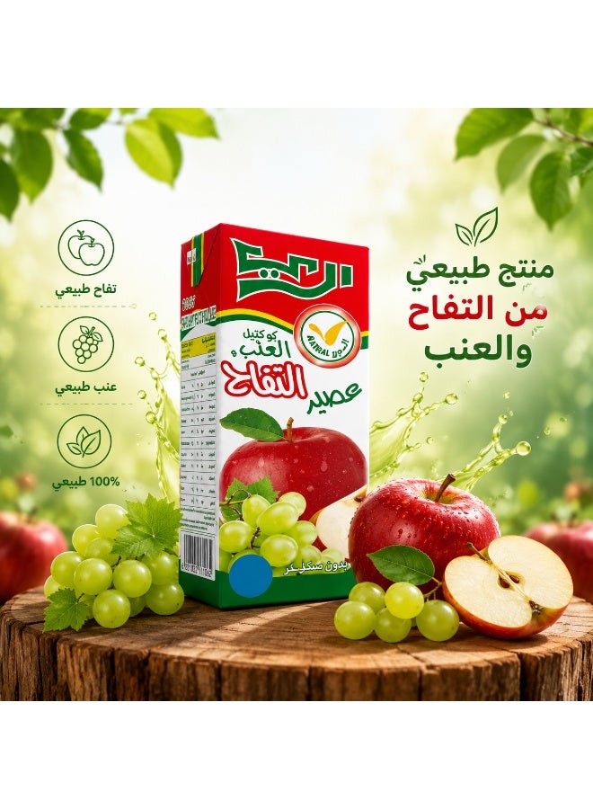 Al Rai Alrai Apple & Grape Juice Drink 125ml, Mixed Fruit Juice Beverage, Convenient Kids Juice Pack, Pack of 6 - Image 4
