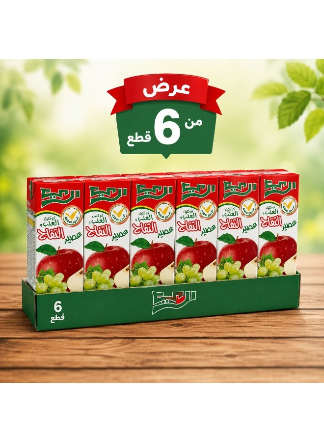 Al Rai Alrai Apple & Grape Juice Drink 125ml, Mixed Fruit Juice Beverage, Convenient Kids Juice Pack, Pack of 6 - Image 1