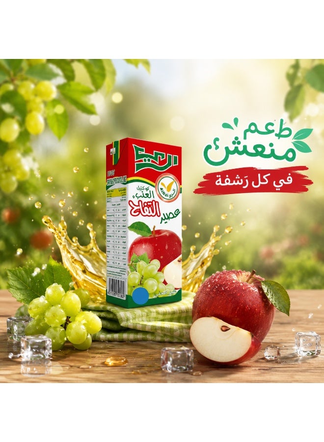 Al Rai Alrai Apple & Grape Juice Drink 125ml, Mixed Fruit Juice Beverage, Convenient Kids Juice Pack, Pack of 6 - Image 5