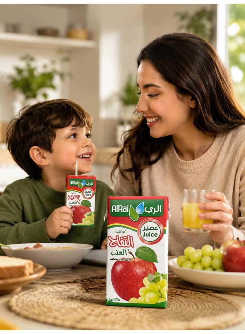 Al Rai Alrai Apple & Grape Juice Drink 125ml, Mixed Fruit Juice Beverage, Convenient Kids Juice Pack, Pack of 6 - Image 2